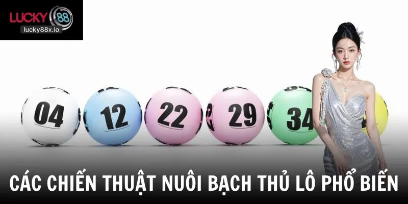 Các chiến thuật nuôi bạch thủ lô hiệu quả