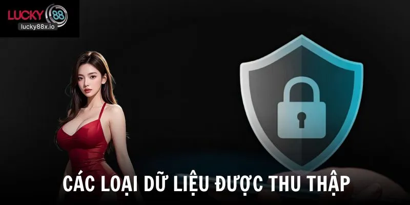 Các dữ liệu được thu thập