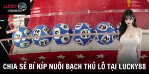 Bí Kíp Bạch Thủ Lô - Cách Theo Dõi Số Hiệu Quả Và Có Cơ Sở