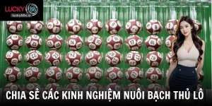 Kinh Nghiệm Nuôi Bạch Thủ Lô: Cách Đánh Số Hiệu Quả Nên Dùng