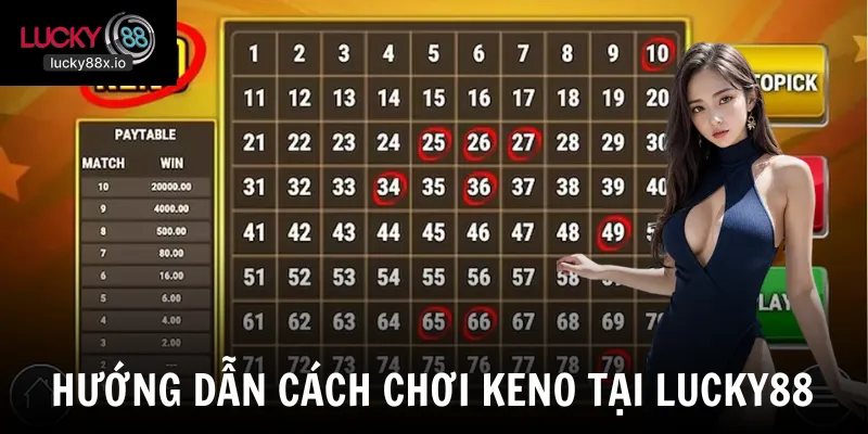 Hướng dẫn quy trình chơi keno từng bước và dễ hiểu
