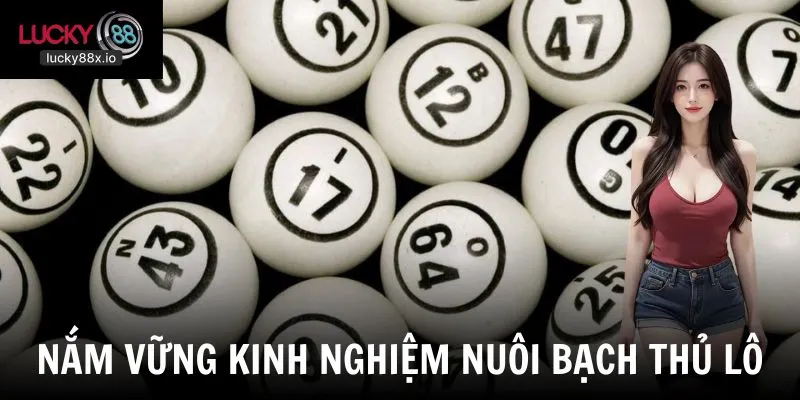 Nuôi bạch thủ lô và bản chất của bạch thủ lô cần hiểu rõ