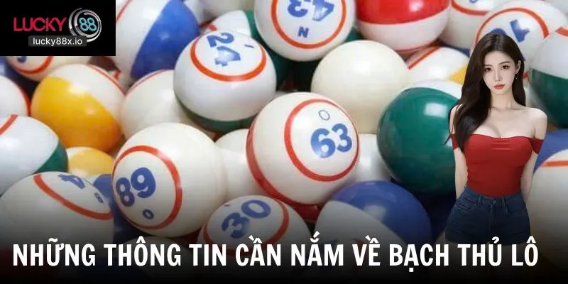 Những thông tin cần biết về bạch thủ lô cho người mới